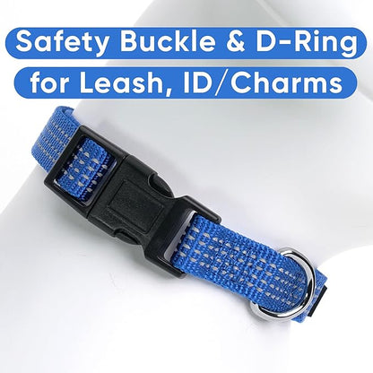 Pawtitas Reflective Dog Collar Medium Blue 3/4 Inch