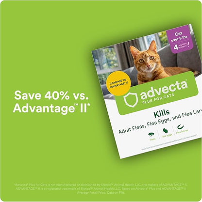Advecta Plus Topical Large Cat Flea Treatment for Cats and Kittens, Flea Prevention and Control, Fast-Acting Waterproof Drops, 2-Month Supply