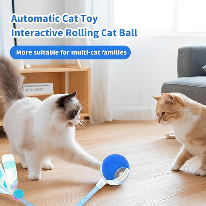 MAXTOOA Interactive Cat Toys for Indoor Cats Smart Automatic Ball Rolling for Bored Kitten Pet Upgraded Speedy Moving Chase Dogs Toy Blue Dragonfly