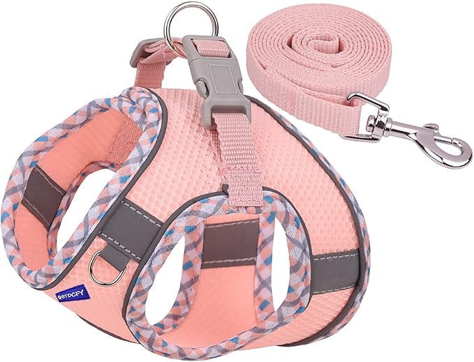 Step-in Mesh Dog Harness and Leash Set - Breathable, Reflective, Escape-Proof Vest - No Choke, Lightweight Air Mesh