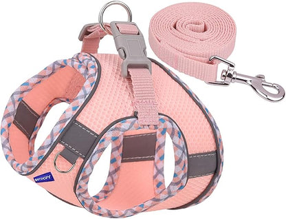 Step-in Mesh Dog Harness and Leash Set - Breathable, Reflective, Escape-Proof Vest - No Choke, Lightweight Air Mesh