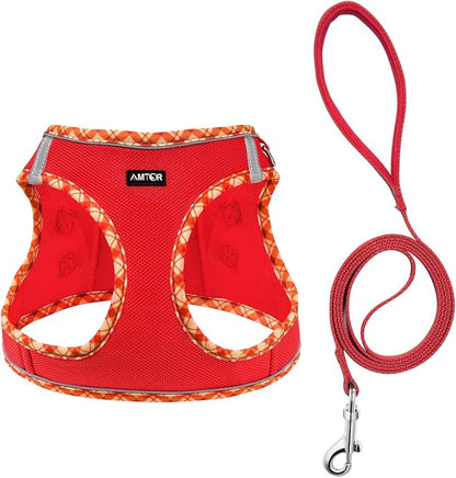 AMTOR Small Dog Harness with Leash Set, No Escape Easy Walk Puppy Harnesses for Training Walking, Step-in Reflective Soft Dogs Vest for XS S Medium Extra-Small Large Sized Dog(Red,S)