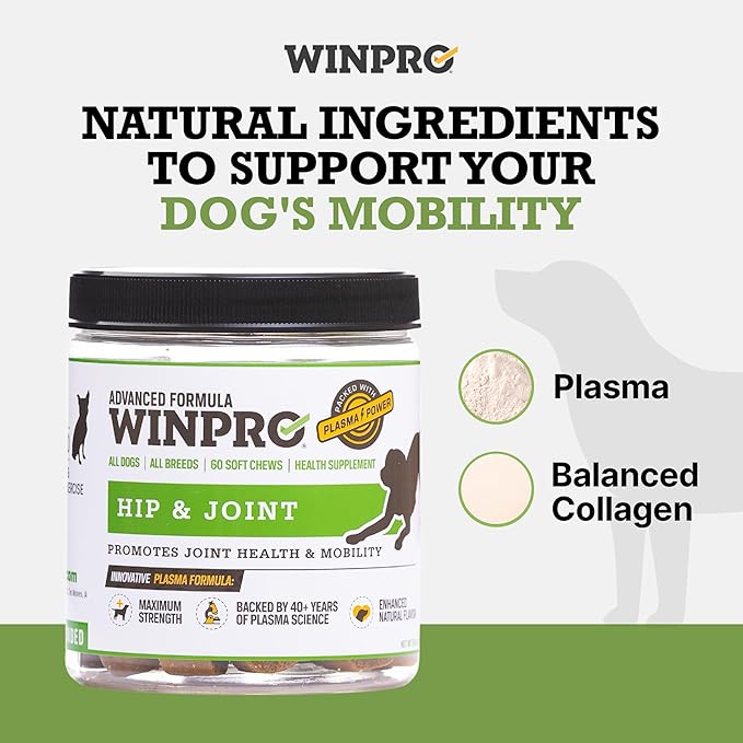 WINPRO Hip & Joint Supplement for Dogs - Plasma Powered Soft Chews for Joint Health & Mobility – Fast-Acting with Collagen & Natural Ingredients for Dogs of All Breeds – 60 Chews