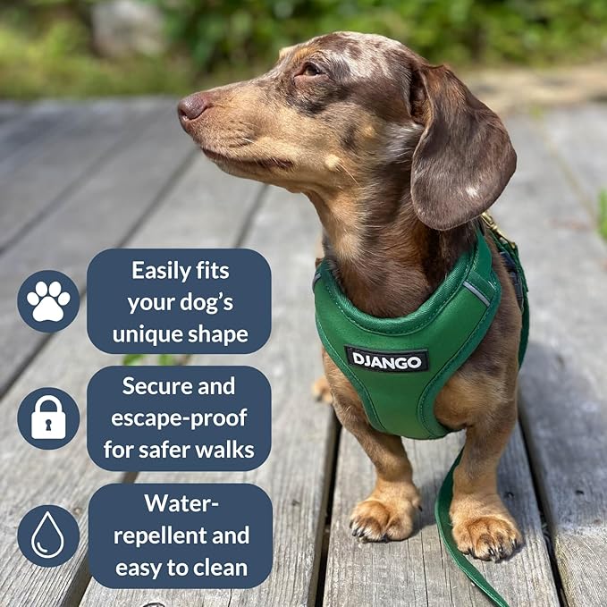DJANGO Adventure Dog Harness - Stylish and Durable Small Dog Harness for Outdoor Adventures and Everyday Wear - Forest Green Neoprene Adjustable Harness for Dogs with Reflective Piping & Brass D-Ring