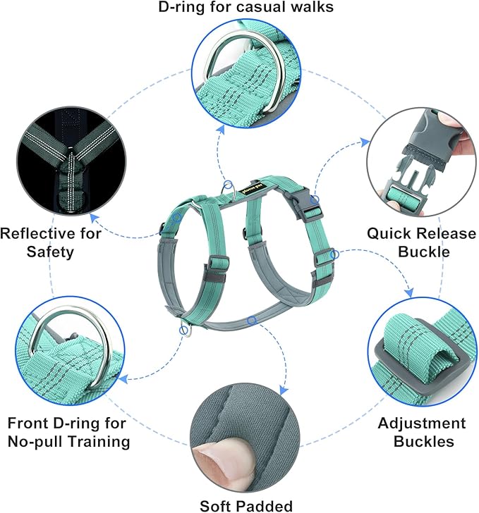 Plutus Pet No Pull Dog Harness, Adjustable Nylon Harness with Soft Padding, Reflective and Heavy Duty Dog Harness for Small, Medium, Large Dogs(Teal, M)
