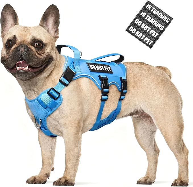 WINSEE Escape Proof Dog Harness, Service Working Molle Harness with Double Handle, Tactical Pet Vest with 4 Patches for Small Medium Large Dogs Walking Hiking Hunting