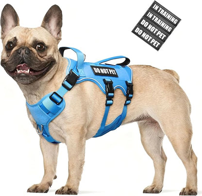 WINSEE Escape Proof Dog Harness, Service Working Molle Harness with Double Handle, Tactical Pet Vest with 4 Patches for Small Medium Large Dogs Walking Hiking Hunting