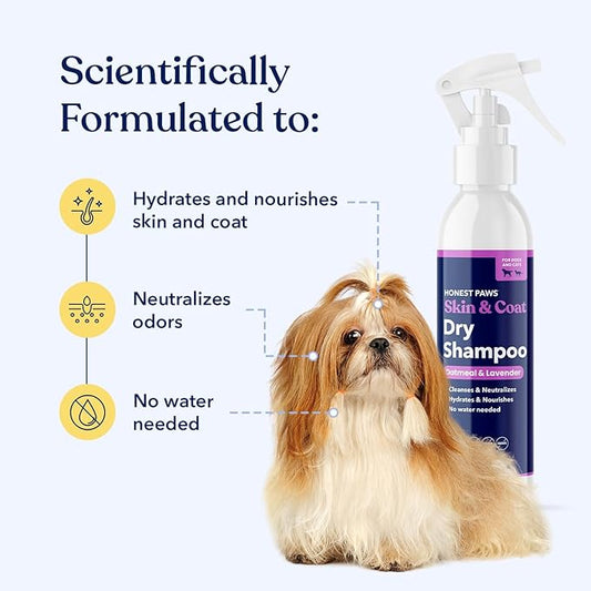 Honest Paws Dog Dry Shampoo - Waterless No Rinse Foaming Formula Reducing Itch Cleanse Hydrate Nourish Dry Skin and Smelly Coat Help Decrease Odor Shedding and Allergies - Oatmeal & Lavender - 8 fl oz