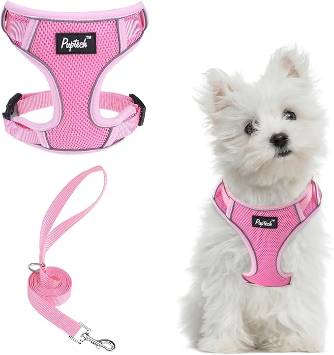 PUPTECK Small Dog Harness and Leash Set, No Pull Adjustable Puppy Cat Harness, Reflective Soft Mesh Pet Vest Small Sized, Pink, S