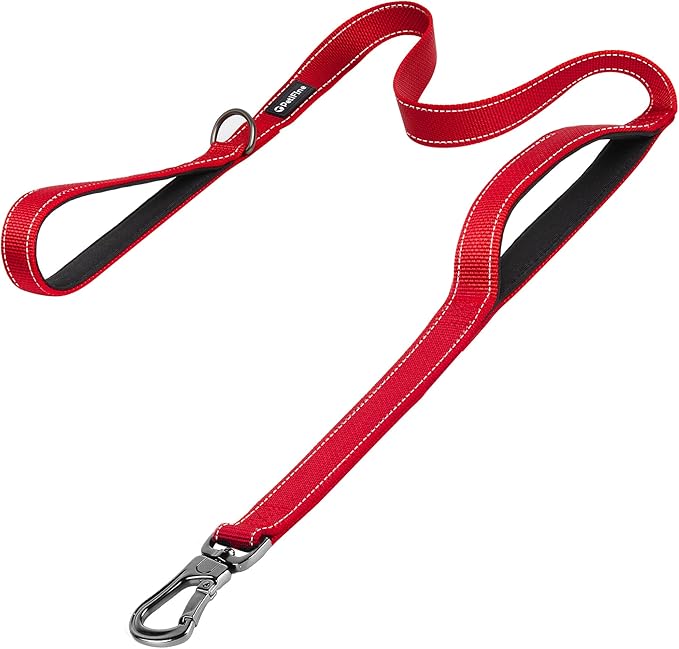 PetiFine 6FT Heavy Duty Dog Leash with Soft Padded Double Handle, Durable Strong Clasp Dog Leashes, Reflective Nylon Walking Lead for Large,Medium,Small Breed Dogs, Red