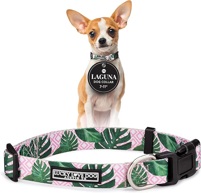 Lucky Love Dog - Adjustable Dog Collar with Easy Click Buckle for Small Ones, Durable, & Comfortable for Male & Female Dogs, Pet Collar for Puppies & Adult Dogs - Laguna, XS