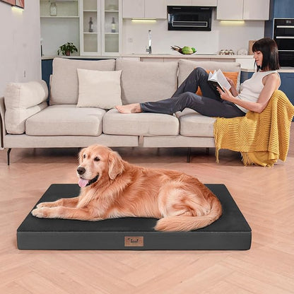 Tail Stories Large Comfy Washable Dog Bed, Orthopedic Egg Crate Foam Dog Crate Mat for Large Dogs with Removable Cover, 41x27 Inch, Black