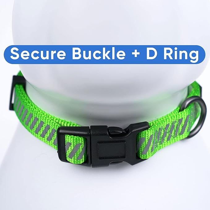 Pawtitas Reflective Dog Collar - Personalized Name & Phone Number, Adjustable for Small Dogs & Puppies, Green