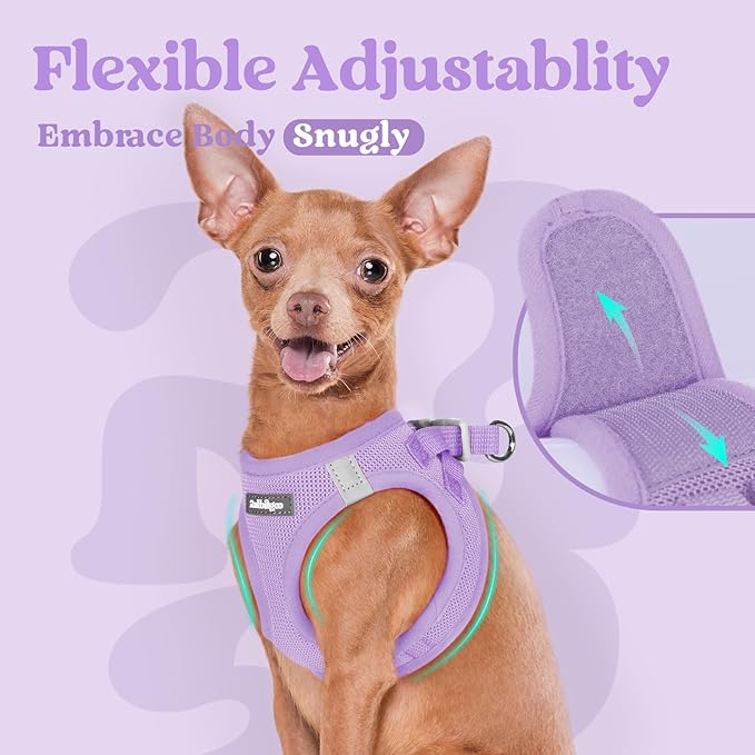 rabbitgoo Small Dog Harness, Step-in Soft Mesh Puppy Vest with Safety Buckle, Breathable Reflective Pet Harness for Extra Small Dogs, Light Purple XXXS