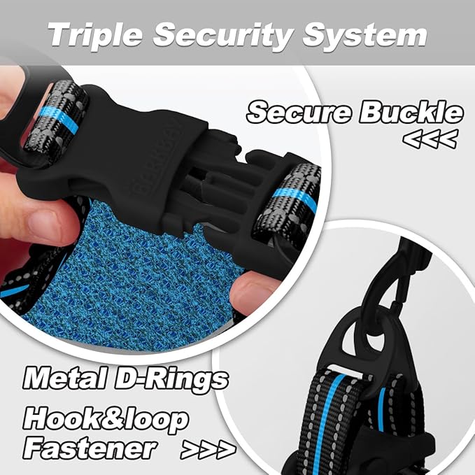 Dog Harness and Leash Set,Step in Small Sized Dog Harness,Soft Mesh,No-Chock,Reflective Adjustable,Secure with Hook & Loop Fastener,Puppy Vest for Small,Medium Dogs(Blue/Black,XS)