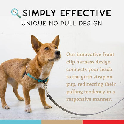 Wildebeest No Pull Dog Harness | Comfortable Training Harnesses | Effective No Pull Harness Design | Ideal for Small Dog and Puppy | 4-Point Adjustable (S -18~24 inch Girth, Turquoise)