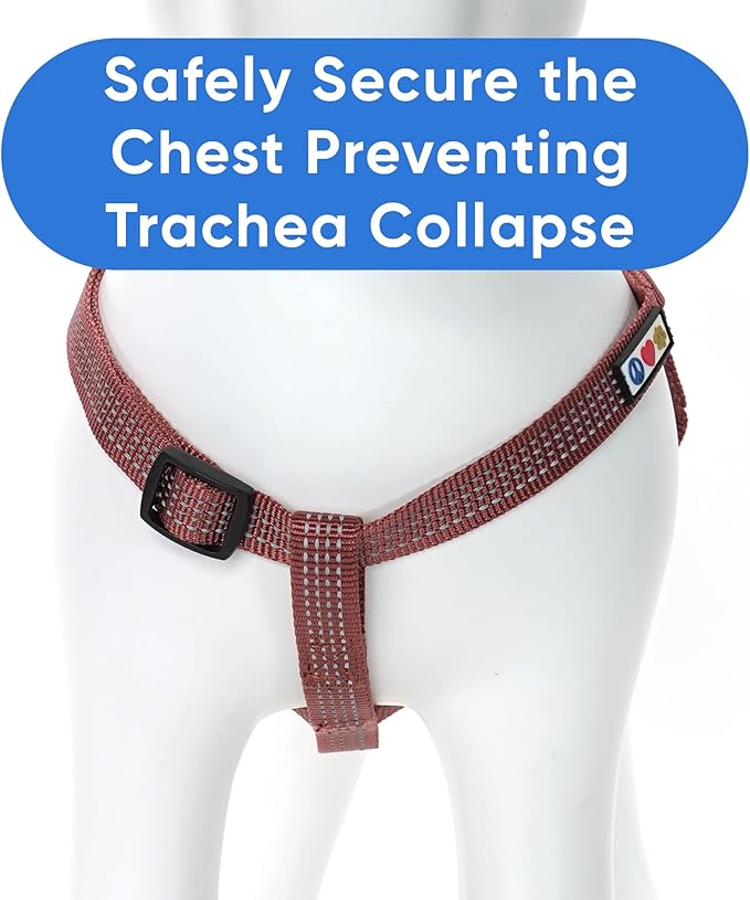 Pawtitas Reflective Step-in Dog Harness – Adjustable No-Pull Vest for Puppies to Seniors, Safe & Comfortable, XS Marsala