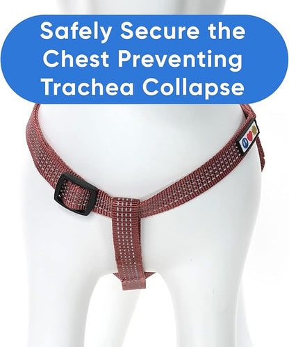 Pawtitas Reflective Step-in Dog Harness – Adjustable No-Pull Vest for Puppies to Seniors, Safe & Comfortable, XS Marsala
