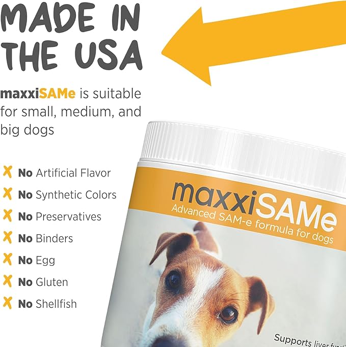maxxipaws maxxiSAMe Advanced SAM-e Powder Supplement - Liver, Cognitive & Joint Support for Dogs, 5.3oz