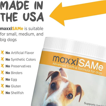 maxxipaws maxxiSAMe Advanced SAM-e Powder Supplement - Liver, Cognitive & Joint Support for Dogs, 5.3oz