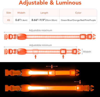 Light up Collar for Small Dog,Vizpet XS Adjustable Size Nylon Collar USB Rechargeable Bright Safety Pet Collar for Cats Small Dogs (Orange, X-Small[ 8.66-11.9 inch/22cm-30cm])