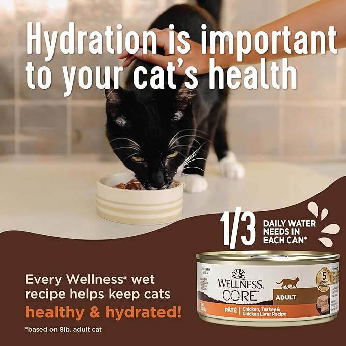 Wellness CORE Pate Kitten Wet Cat Food, Natural, Protein-Rich, Grain Free, 3 Ounce, 12 Pack (Turkey & Chicken Liver)