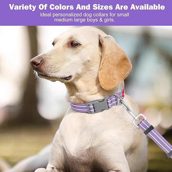 Tacwild Adjustable Reflective Dog Collar, Puppy Collar with D-Ring Buckle - Durable Safety Nylon Dog Collars for Large Dogs (Purple-L)