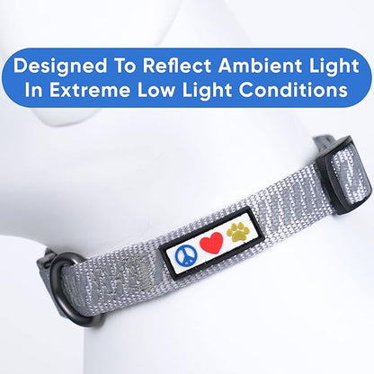 Pawtitas Reflective Dog Collar - Personalized Name & Phone Number, Adjustable for Extra Small Dogs & Puppies - Grey