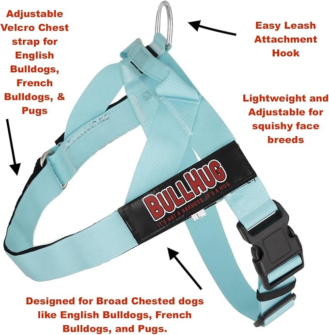 BULLHUG Adjustable Dog Harness– No Pull, No Choke – for English Bulldogs, French Bulldogs, Pugs & Broad-Chested Breeds – Easy, Safe Walks (BLUEWHITE, Small)