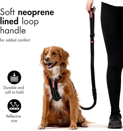 EzyDog Zero Shock Dog Leash - Shock Absorbing Bungee Leash for Dogs That Pull or Excite - Dual Handle and Reflective for Large, Medium, or Small Dogs (48-Inch, Corduroy)