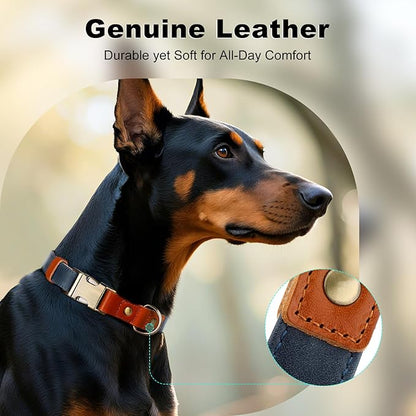 Plutus Pet Genuine Leather & Hemp Dog Collar – Adjustable Heavy Duty Pet Collar with Quick Release Metal Buckle, Soft & Stylish for Puppy and Small, Medium, Large Dogs (Blue, XS)