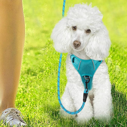 BARKBAY Dog Harness No Pull with ID Tag Pocket - Heavy Duty, Reflective, Easy Control for Large Dogs(Ocean Blue,XS)