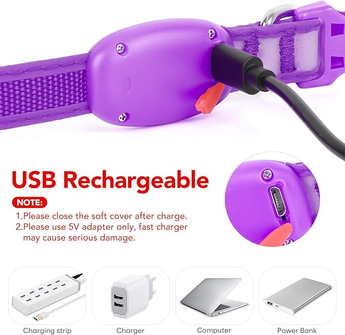 Light up Collar for Small Dog,Vizpet XS Adjustable Size Nylon Collar USB Rechargeable Bright Safety Pet Collar for Cats Small Dogs(Purple, X-Small[ 8.66-11.9 inch/22cm-30cm])