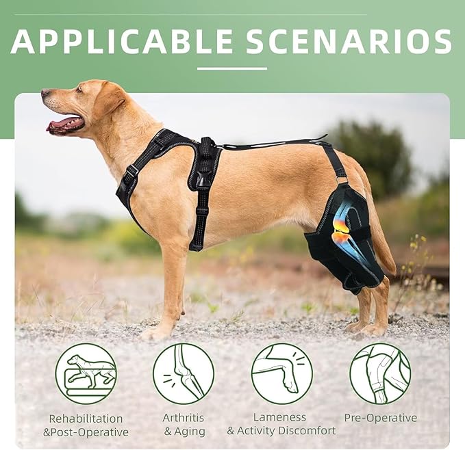 Dog Knee Brace for ACL/CCL Injuries,Torn Ligament,Luxating Patella - Rear Leg Support,Pain Relief,Joint Warmth,Left Legs,Black,Size:XL