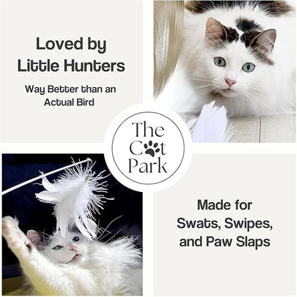 Cat Wand Toy Set – 2 Feather Teaser Wands with 4 Interchangeable Refills, 27" Flexible Wire & Wooden Handle, Interactive Play for Indoor Cats and Kittens