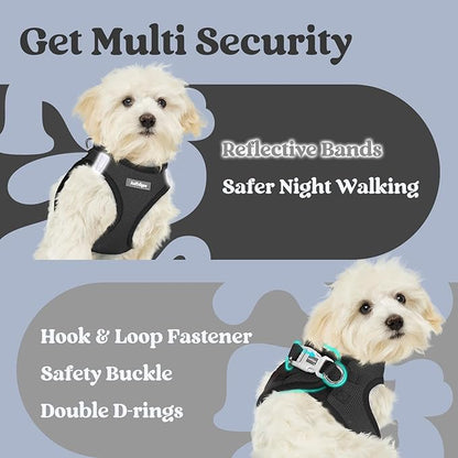 rabbitgoo Small Dog Harness, Step-in Soft Mesh Puppy Vest with Safety Buckle, Breathable Reflective Pet Harness for Small Sized Dogs, Black XS