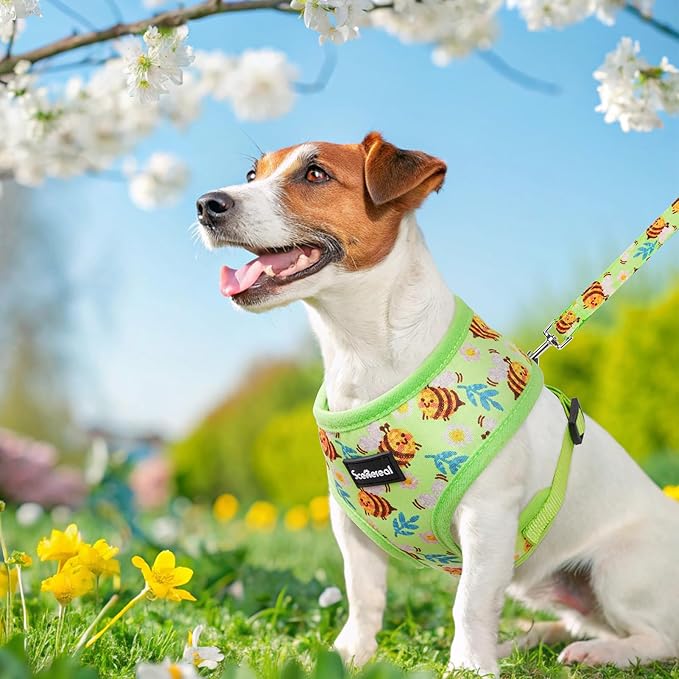 SCENEREAL Small Dog Harness and Leash Collar Set - No Pull Dog Harness for Small & Medium Sized Dogs - Soft Mesh Vest for Puppies, Chihuahua, Yorkie, Spring Summer Hiking Walking, Green Bee XS