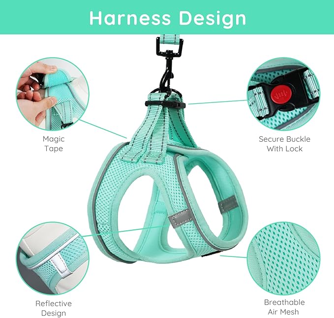 BELLA & PAL Step in Vest Harness for Small and Medium Dogs, No Pull Small Dog Harness with Leash Set, Comfortable Air Mesh Dog Vest Harness with Reflective Strip (Light Green, XXS)
