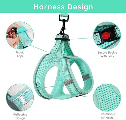 BELLA & PAL Step in Vest Harness for Small and Medium Dogs, No Pull Small Dog Harness with Leash Set, Comfortable Air Mesh Dog Vest Harness with Reflective Strip (Light Green, XXS)