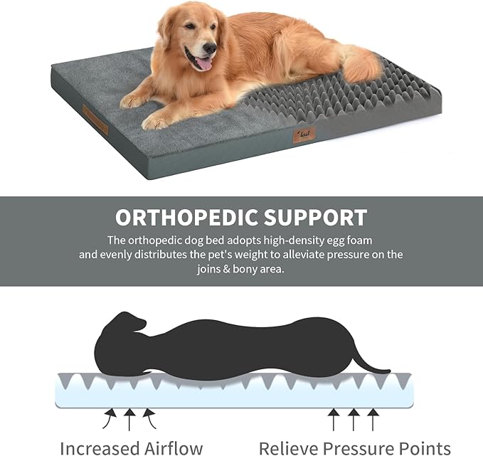 Tail Stories Plush Orthopedic Dog Bed for Medium Dogs & Puppies, Waterproof Dog Beds 29x18 Inch with Removable Washable Cover, Egg Crate Foam Flat Pet Mat, Gray