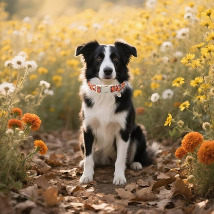 Lionet Paws Vintage Floral Dog Collar- Cute Fall Groundsel Oxalis Golden-Rod Dog Collars with Plastic Buckle,Light Adjustable Brown Dog Collars for Medium Large Dogs