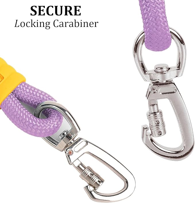 JSXD Dog Leash,5 FT Heavy Duty Dog Training Leash,Double Handle Comfortable Padded Hands Free Dog Leash,Adjustable Crossbody Waist Leash for Small Medium Large Dogs(Purple)