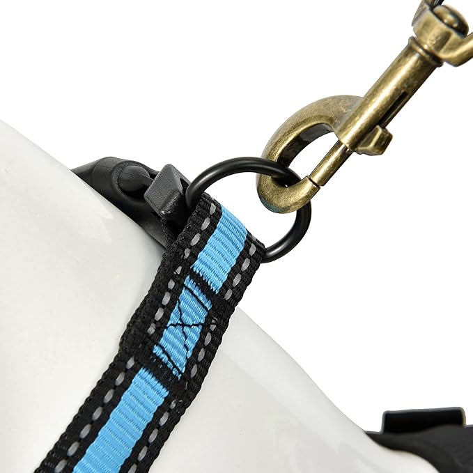 Mile High Life Dog Collar | Nylon Reflective Dog Collars | Light Weight Puppy Collars | Blue Dog Collars for Medium Dogs (Blue, Medium)