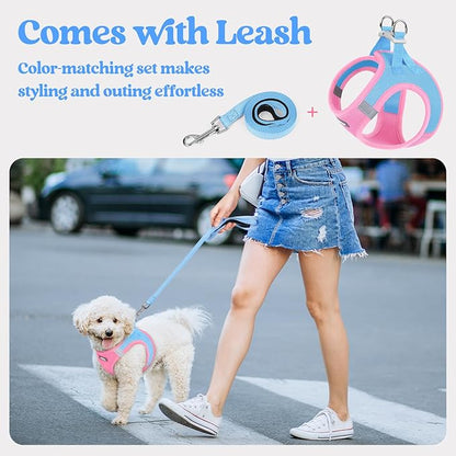 rabbitgoo Dog Harness Small Sized and Leash Set, Step in Soft Light Puppy Vest, Breathable Mesh Pet Harness, Reflective for Safe Easy Walking, Blue & Light Pink S