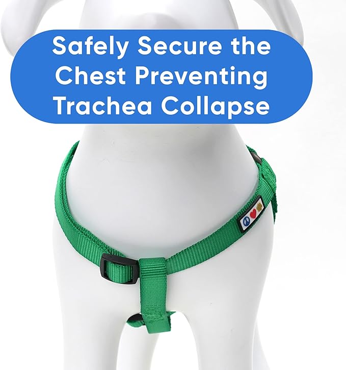 Pawtitas Solid Step-in Dog Harness – Adjustable No-Pull Vest for Puppies to Seniors, Safe & Comfortable M Lush Green