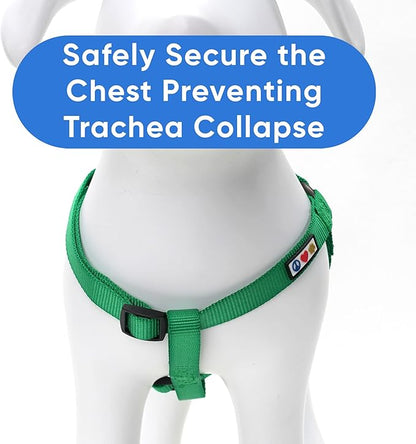 Pawtitas Solid Step-in Dog Harness – Adjustable No-Pull Vest for Puppies to Seniors, Safe & Comfortable M Lush Green