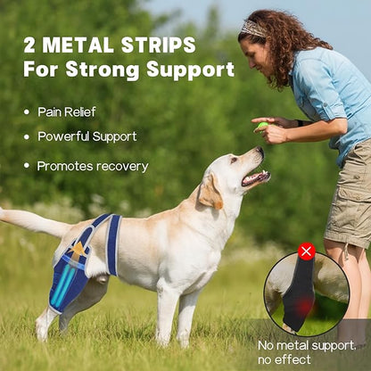Dog Knee Brace for Torn ACL Hind Leg–Adjustable Support Dog Leg Brace for Back Leg with 2 Stabilizers, Hip Support to Reduces Pain Luxating Patella , Ligament Injuries, CCL (Blue, Left Leg, 2XL)