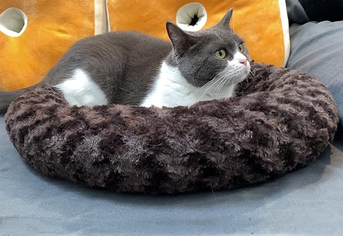 AUPETEK Heated Cat Beds for Indoor Cats Warming Cat Beds Super Soft Machine Washable Thermo Kitty Electric Heating Bed 19 Inches Round