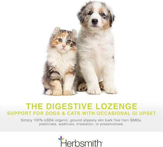 Herbsmith Organic Slippery Elm - Digestive Aid for Dogs and Cats - Constipation and Diarrhea Relief for Dogs and Cats - Megaesophagus Dog Aid- 75g