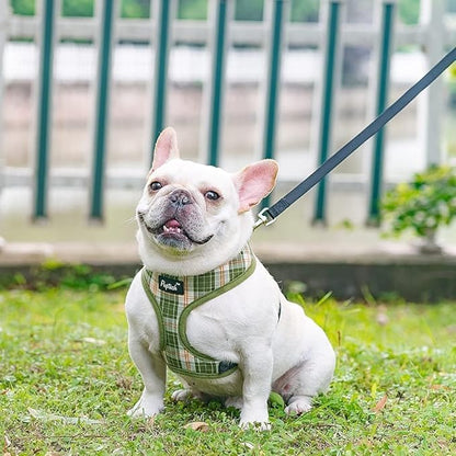 PUPTECK Soft Mesh Dog Harness and Leash Set Pet Puppy Cat Comfort Padded Vest No Pull Harnesses, Olive Green, L